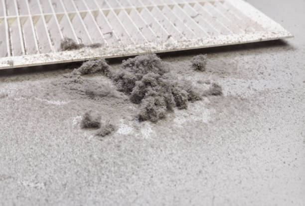 Best Affordable Air Duct Cleaning  in Midway, GA