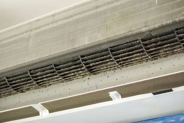Best Air Duct Cleaning Near Me  in Midway, GA